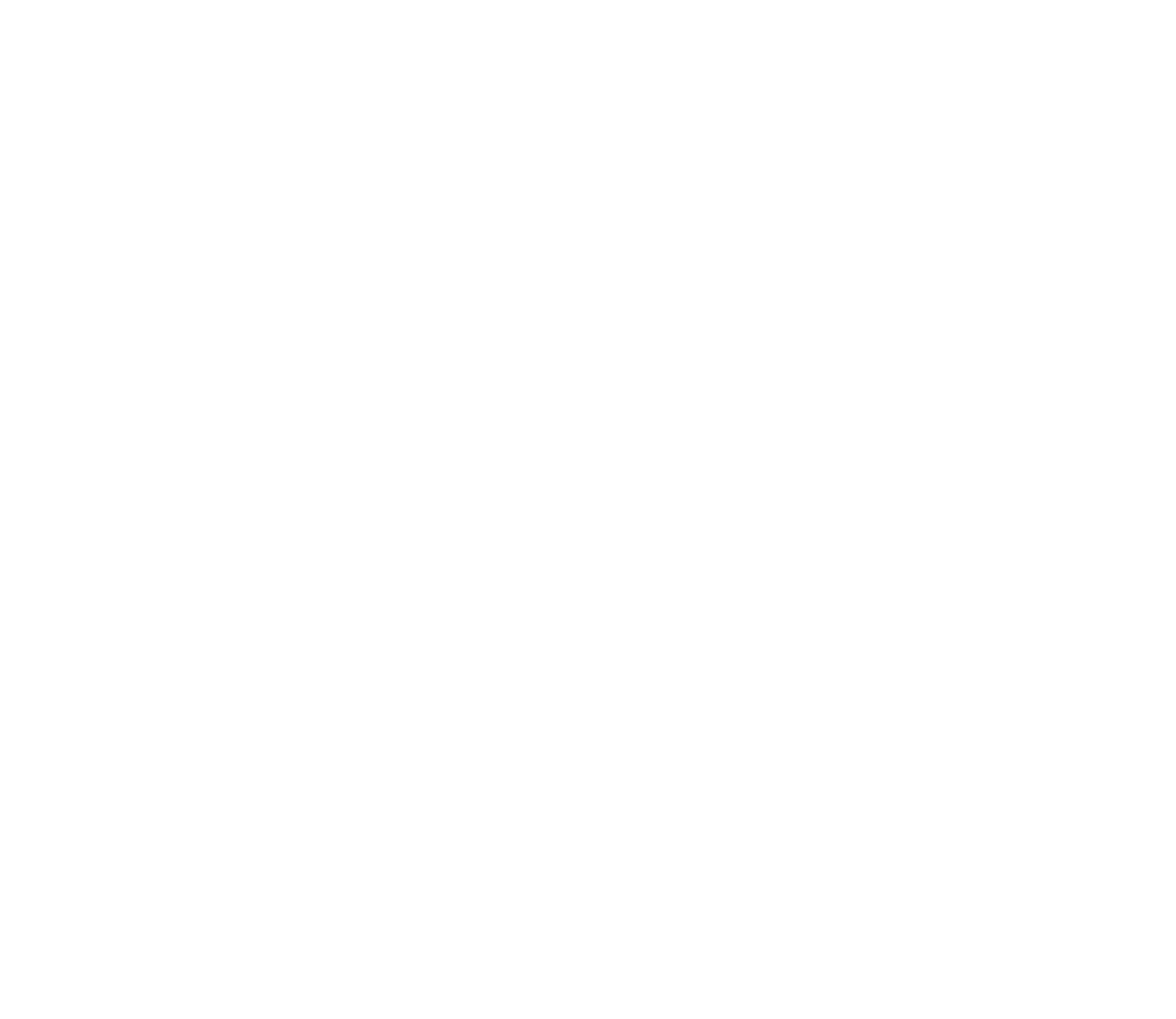 The Network Logo